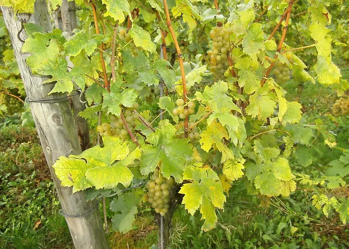 Appartement Fewo Gastezimmer Ellenz-Poltersdorf